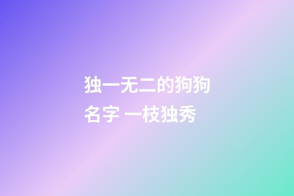 独一无二的狗狗名字 一枝独秀